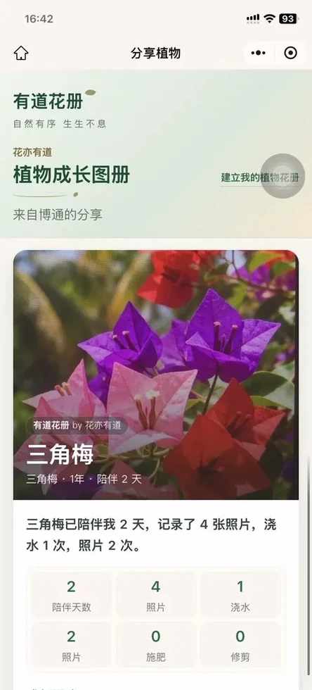 有道花册植物相册和照片整理界面